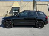 Audi SQ5 2016 thumbnail 2