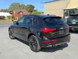 Audi SQ5 2016 thumbnail 3